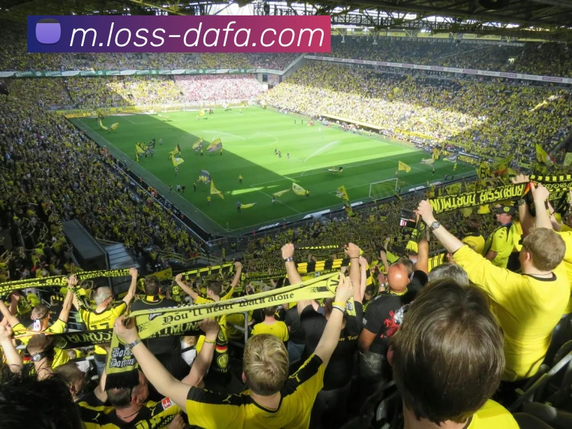 App Interface Preview